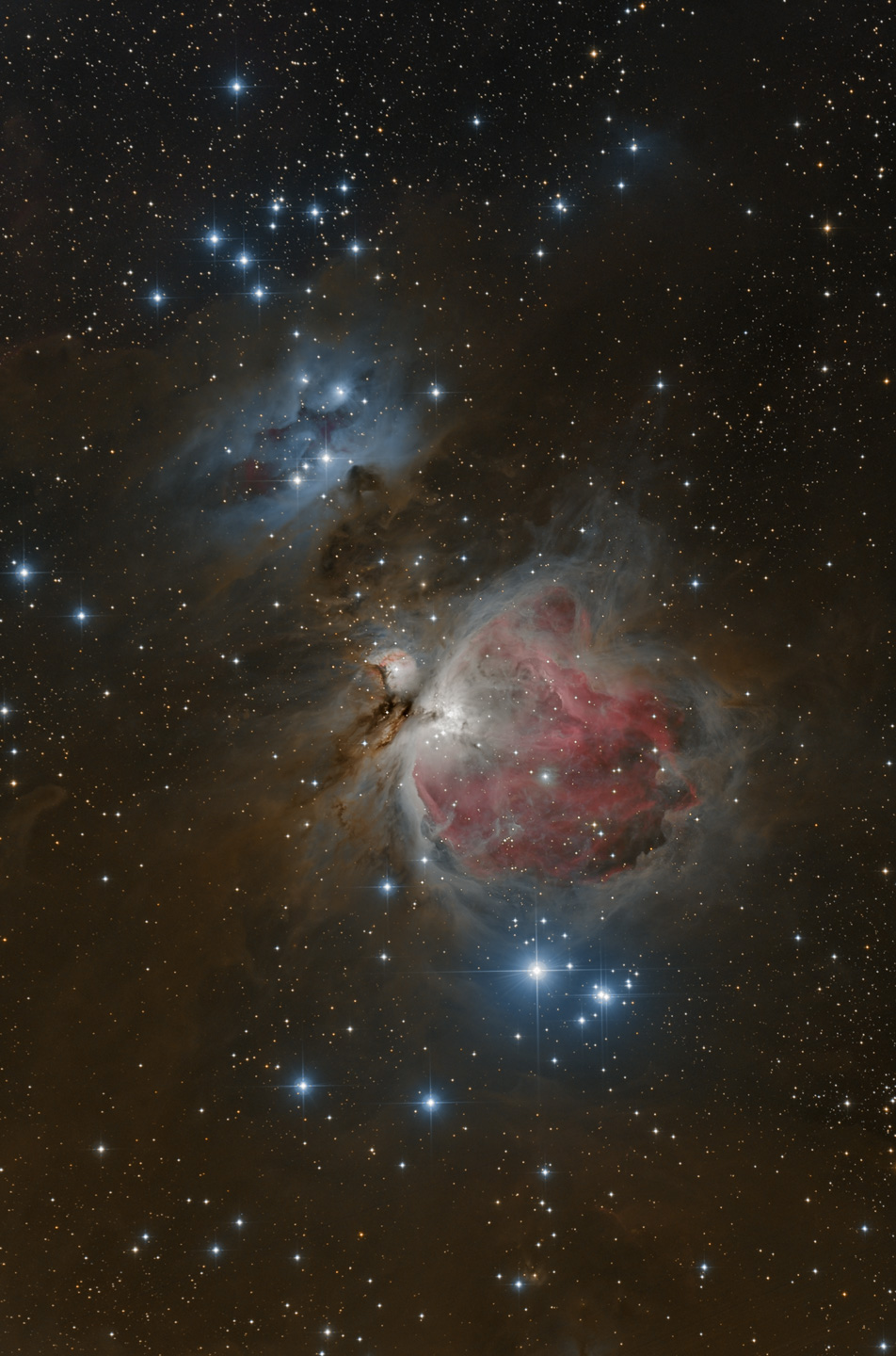 Snapshot of the Orion Nebula