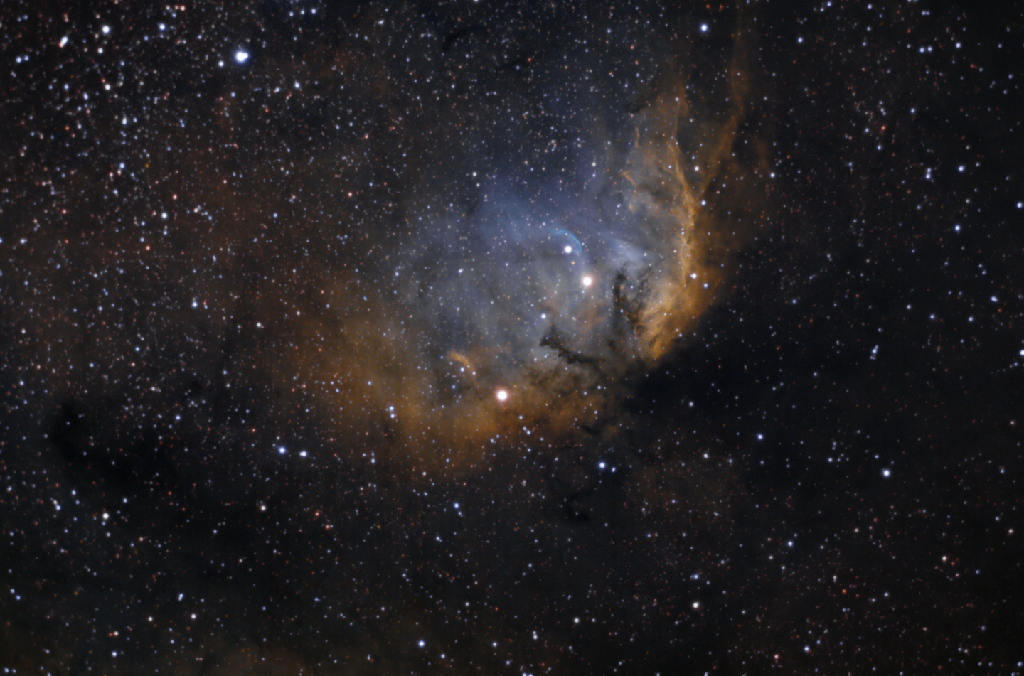 Tulip Nebula  Sh2-101 SHO