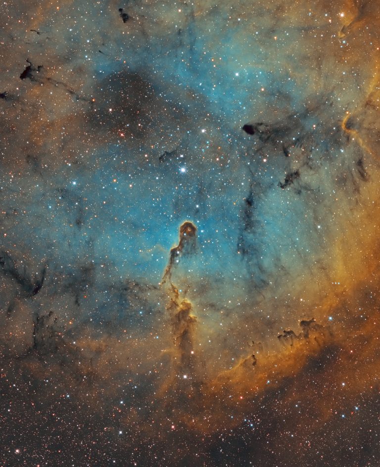 Elephant’s Trunk Nebula