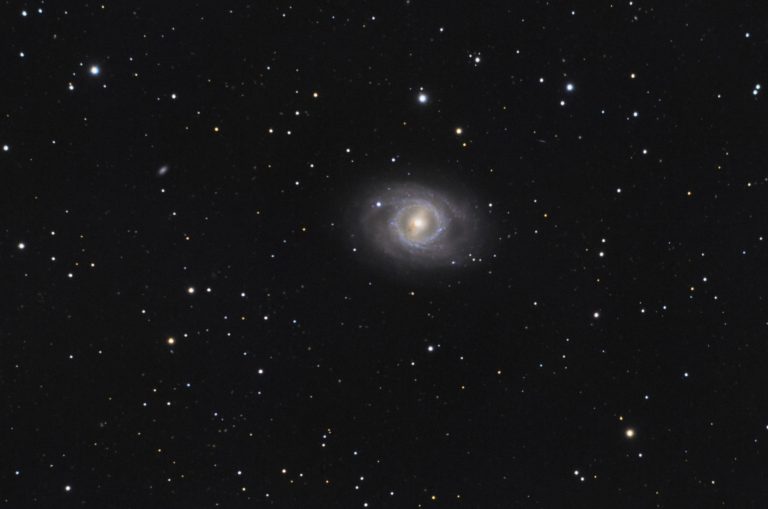 M95 with Supernova