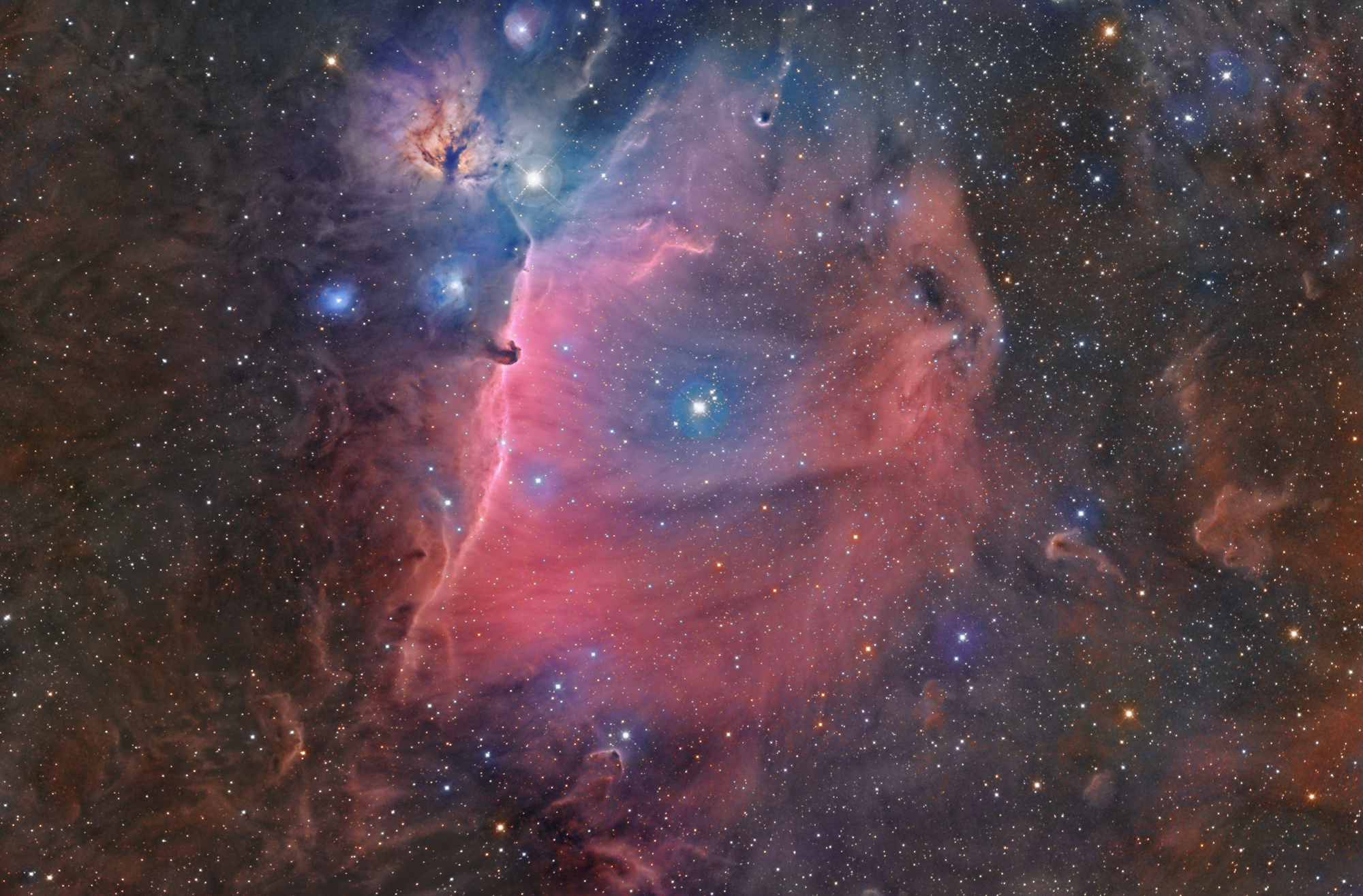 Wide Field Horsehead Nebula