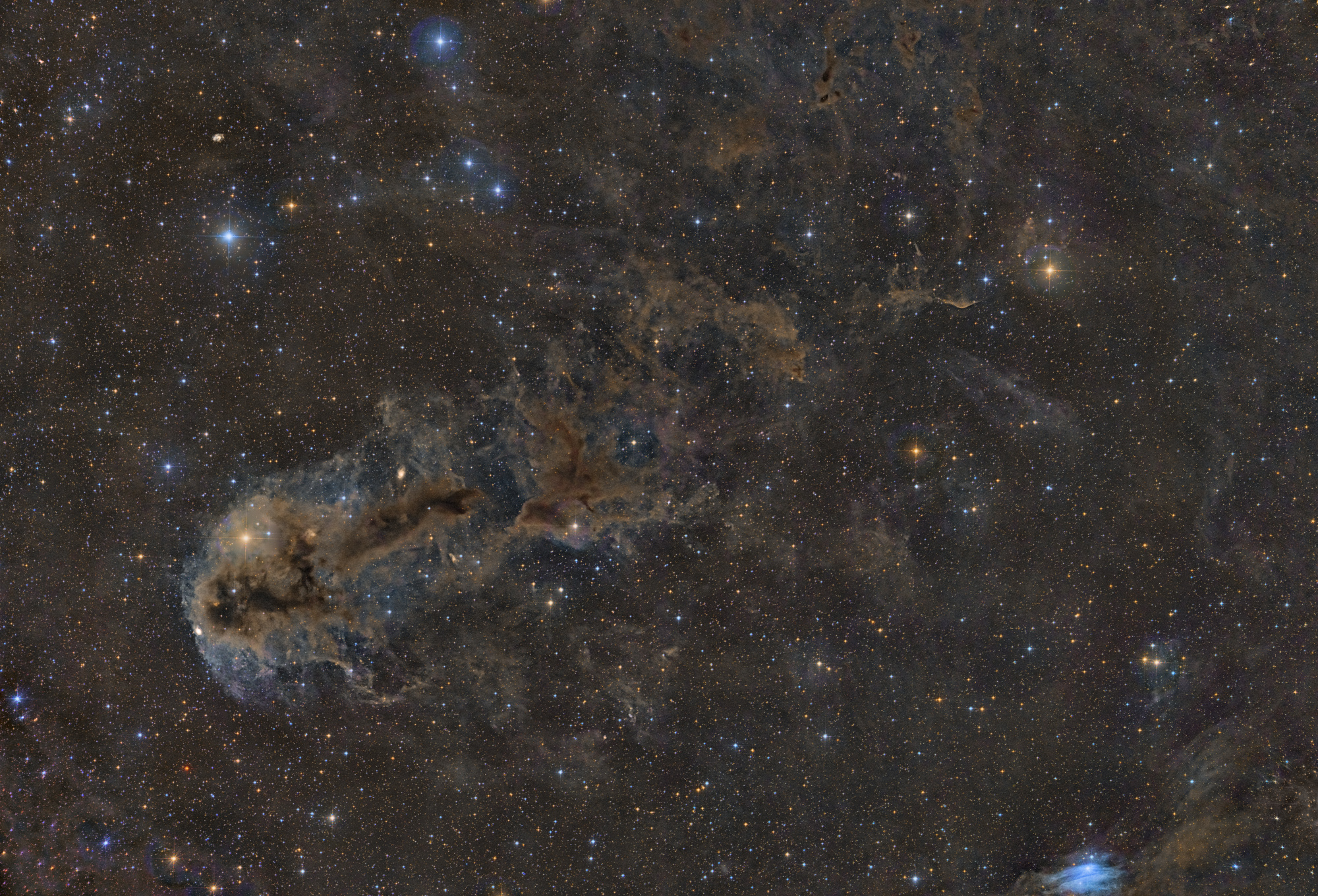 The Rotten Fish Nebula